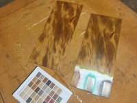 ColorTint_AncientKauri-6