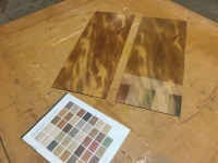 ColorTint_AncientKauri-7