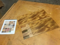 ColorTint_AncientKauri-8