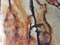 Box_Elder_Table-2