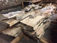 Ancientwood-22