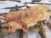 Ancientwood-5