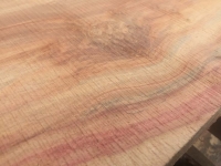 Ancientwood-8