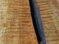BK_15