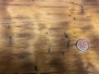 Copper_In_Bug_Holes