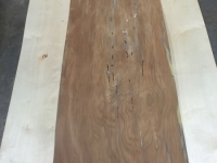 delsdoorpanelsc