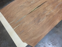 delsdoorpanelsj