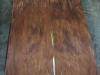delsdoorpanelsl