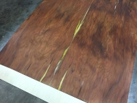 delsdoorpanelsm