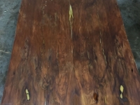 delsdoorpanelsp