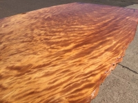 Awesome awesome grain!!
