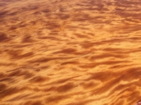 Awesome awesome grain!! 3