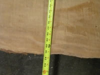 dscn9985