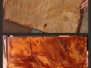 Before and After Galleries