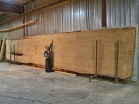 40Feet_and_Lora_1