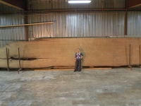 40Feet_and_Lora_12