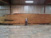 40Feet_and_Lora_15