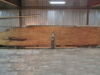 40Feet_and_Lora_16