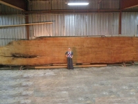 40Feet_and_Lora_20