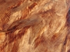 Wild active grain