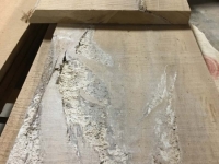 GumBoards_1