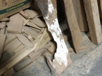 GumBoards_12
