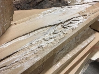 GumBoards_21