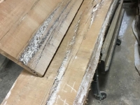 GumBoards_6