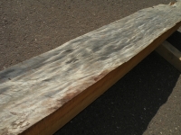 dscn9120