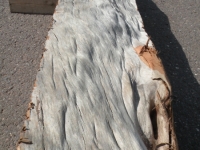 dscn9182