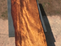 Jonathan_Review_215