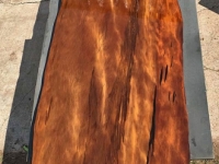Jonathan_Review_219