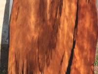 Jonathan_Review_221