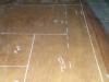 dscn7200