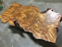 Lisa_Table_16