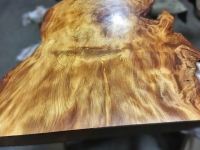 Lisa_Table_2