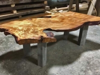 Lisa_Table_25