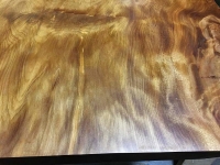 Lisa_Table_3