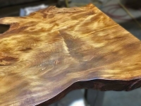 Lisa_Table_4