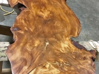 Lisa_Table_7