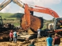 Unearthing Ancient Kauri, plus