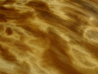 active-grainwow