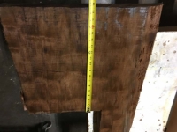 2.21.18__53