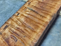 MegaCurlTimber_2