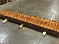 MegaCurlTimber_3