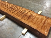 MegaCurlTimber_4