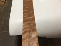 MegaCurl_BugHoles_1