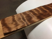 MegaCurl_BugHoles_12