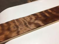 MegaCurl_BugHoles_13