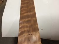 MegaCurl_BugHoles_2